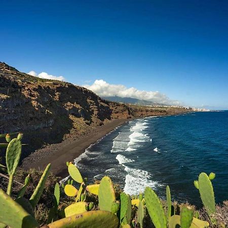 Dragos Del Mar , Espacio Natural La Orotava Dış mekan fotoğraf