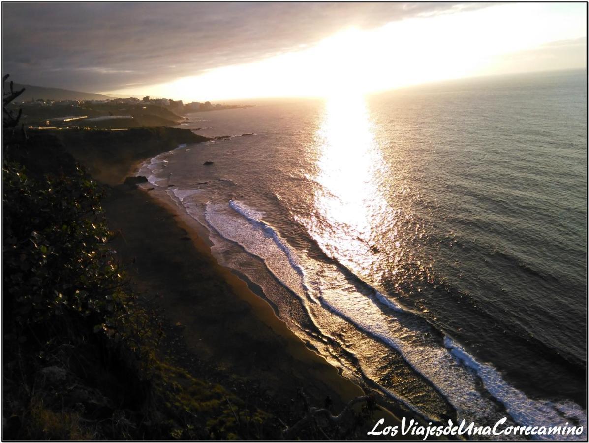Dragos Del Mar , Espacio Natural La Orotava Dış mekan fotoğraf