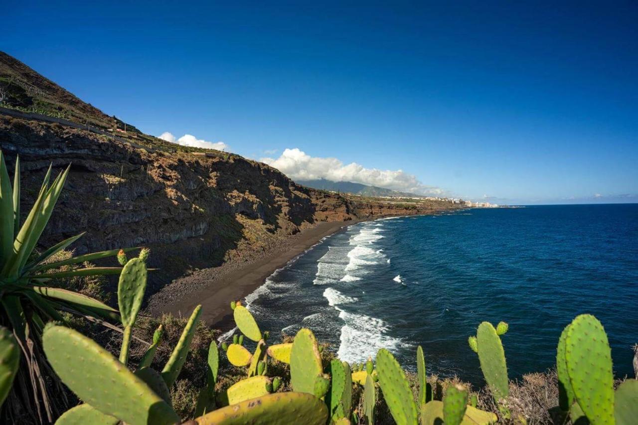 Dragos Del Mar , Espacio Natural La Orotava Dış mekan fotoğraf